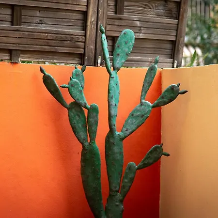 Appartement Beautiful And Cozy 3 Bedrooms In Antibes